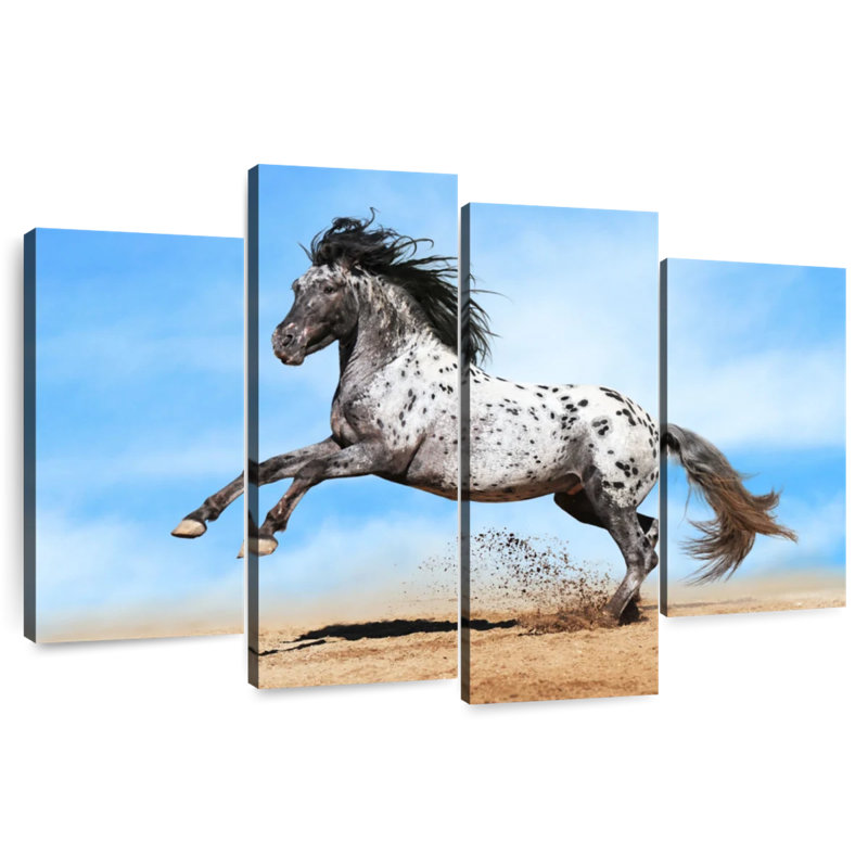 Speckled Appaloosa Horse