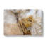 Elephant Vol.5 - Wrapped Canvas-61877234