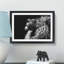 Majestic Lion Illustration in Abstract - Picture Frame Graphic Art Print-55760855-55760853