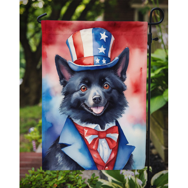 Drapeau patriotique du jardin américain, Schipperke