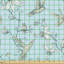 Nickols Flowers and Hummingbirds Fabric