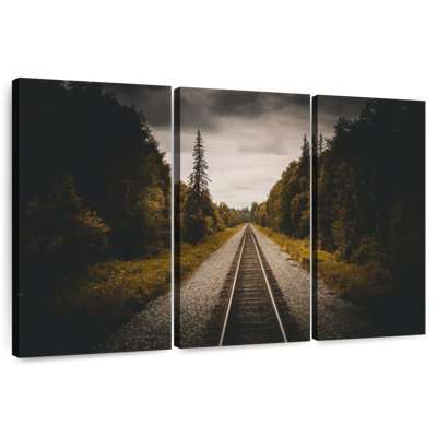 Train Track To Denali