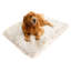  Tapis pour chien Puprug Runner-562120706-562120719
