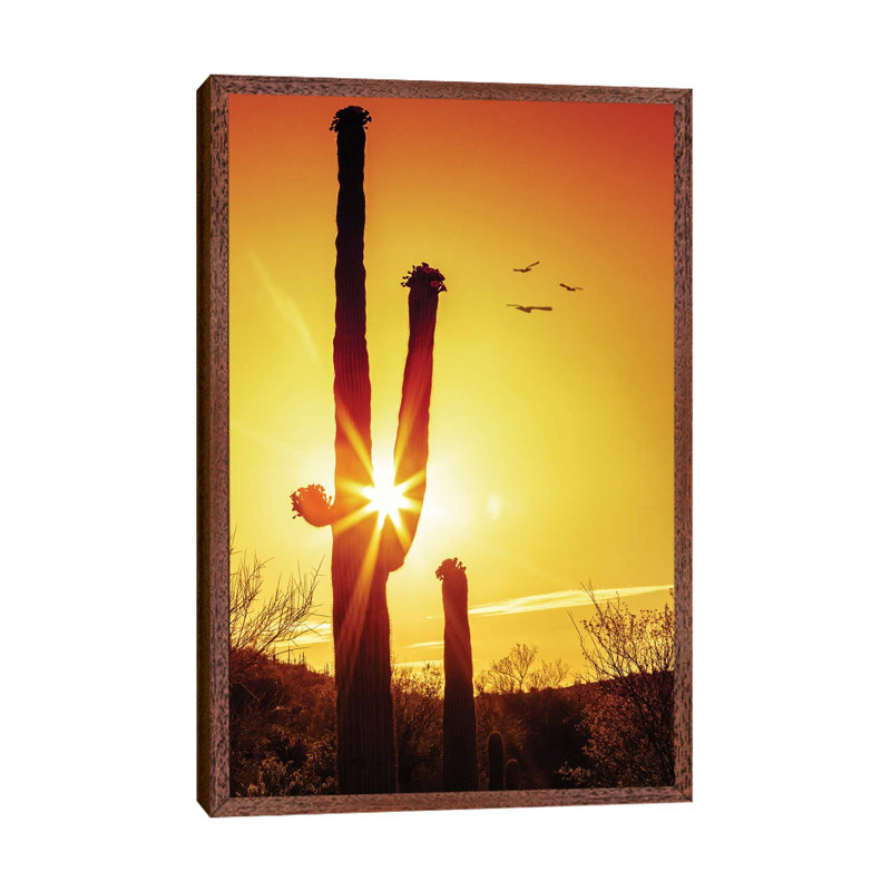 Saguaro Cactus Silhouette At Sunrise by Susan Schmitz - Print on Canvas, 101.6cm H x 66.04cm W x 3.81cm D