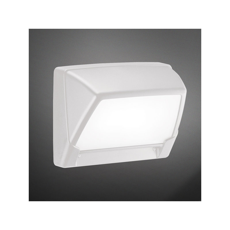 Step 200 1-Light Wall/Ceiling Light, White