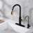 Sumerain S6132P-XX-6133 Pull Out Kitchen Faucet-100943515