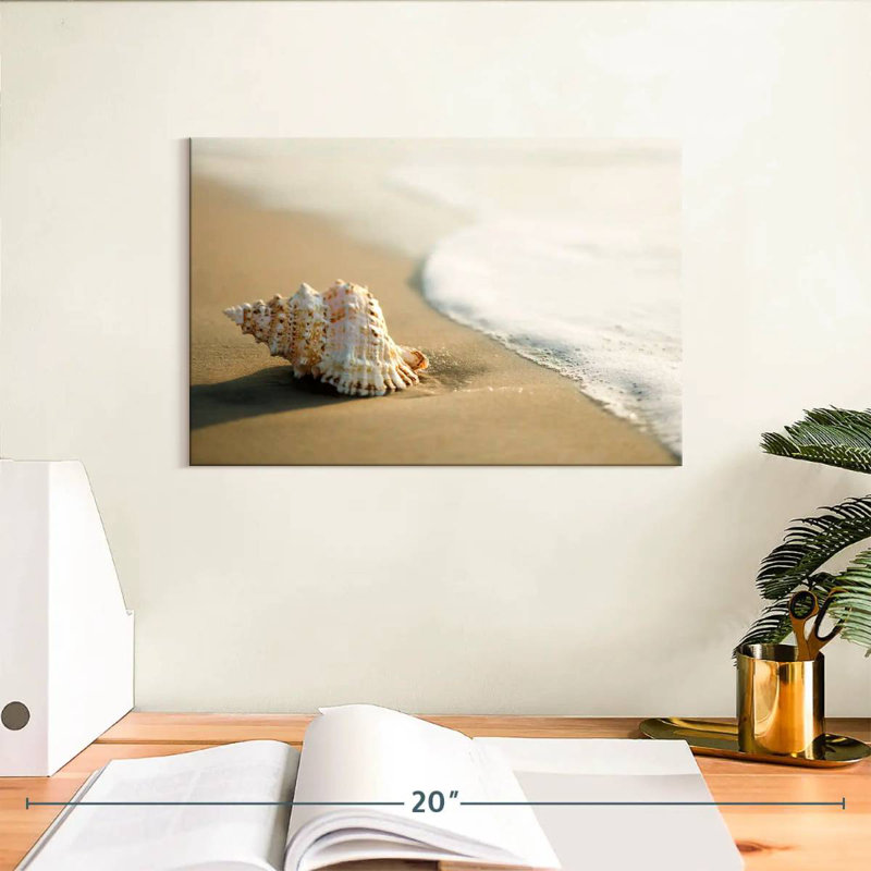 Shell on the beach Aletra, H 8 po x l 12 po