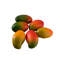  Faux manguier - répliques de manguier tropical en plastique pour comptoir de cuisine, centre de table, style bol à fruits, décor pour événement et présentoirs de détail, 4,5 po de diamètre et 2,2 po de hauteur, paquet de 6