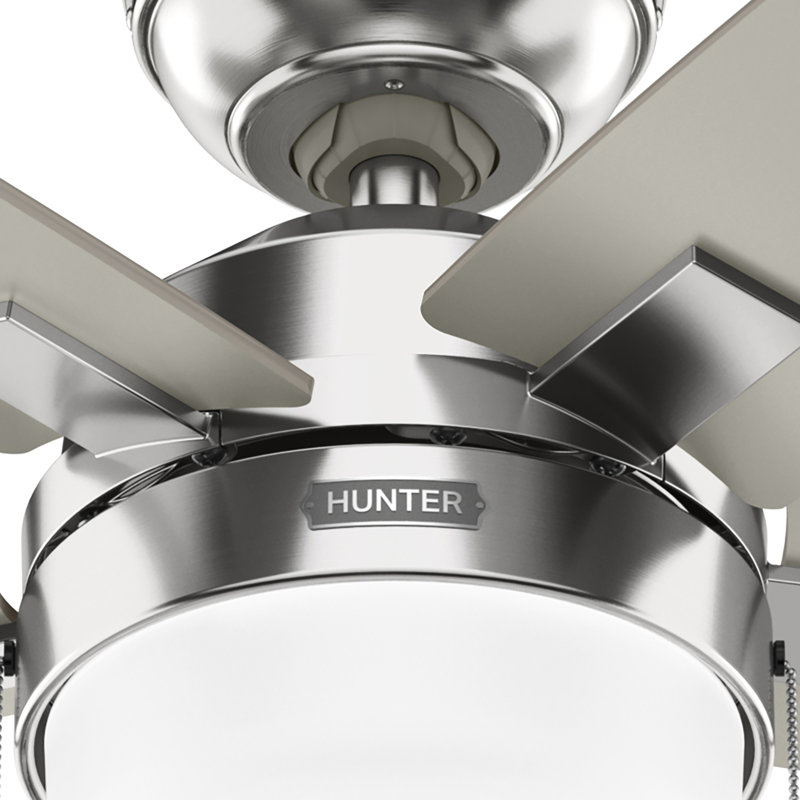 Hunter 44 inch Anisten Ceiling Fan with LED Light Kit and Pull Chain