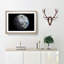 Our Magnificent Earth - Picture Frame Graphic Art Print-55733874-55733880
