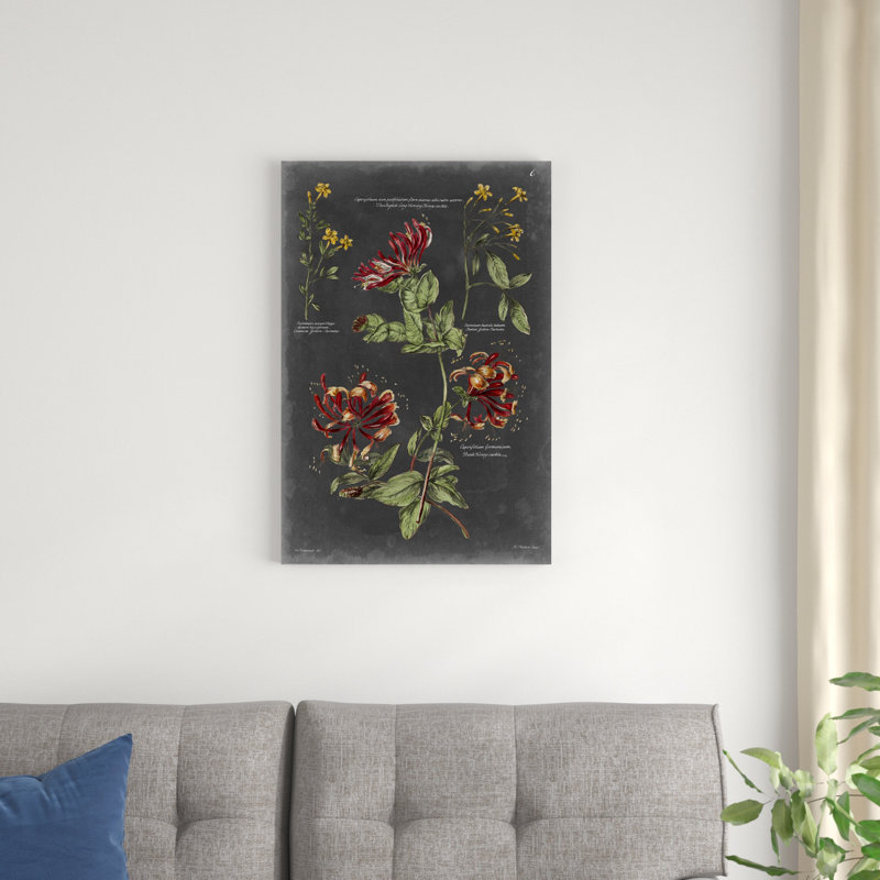 Tableau botanique rétro II, H 30 po x l 20 po x P 1,25 po