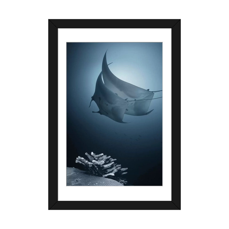 « sonata », impression sur toile, Papier d'art encadré noir, H 32 po x l 24 po x P 1 po, Blanc