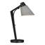 Reach 21.9" Desk Lamp-524582149-524582144