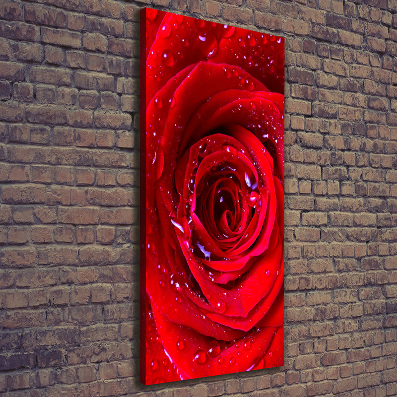 Red Rose - Wrapped Canvas Print