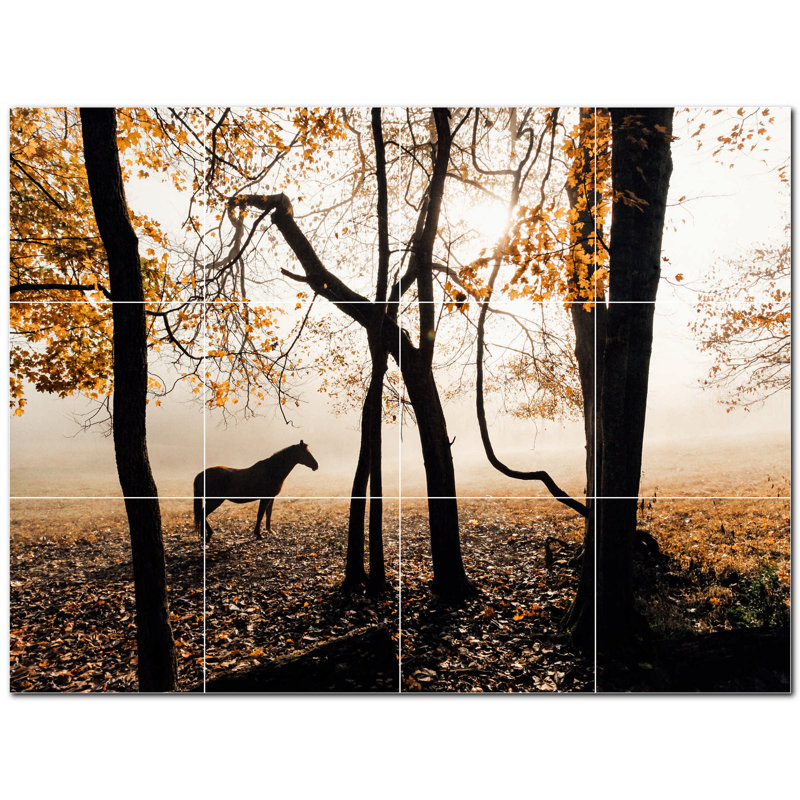 Photo de cheval 6 x 6