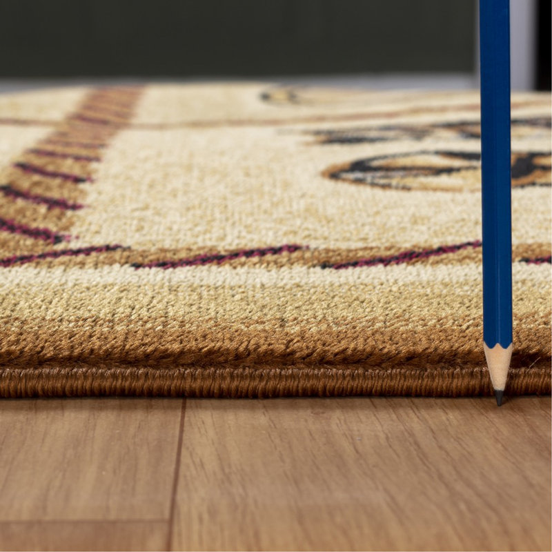 Area Rug