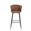 Blanchester Upholstered Counter Stool with Metal Frame