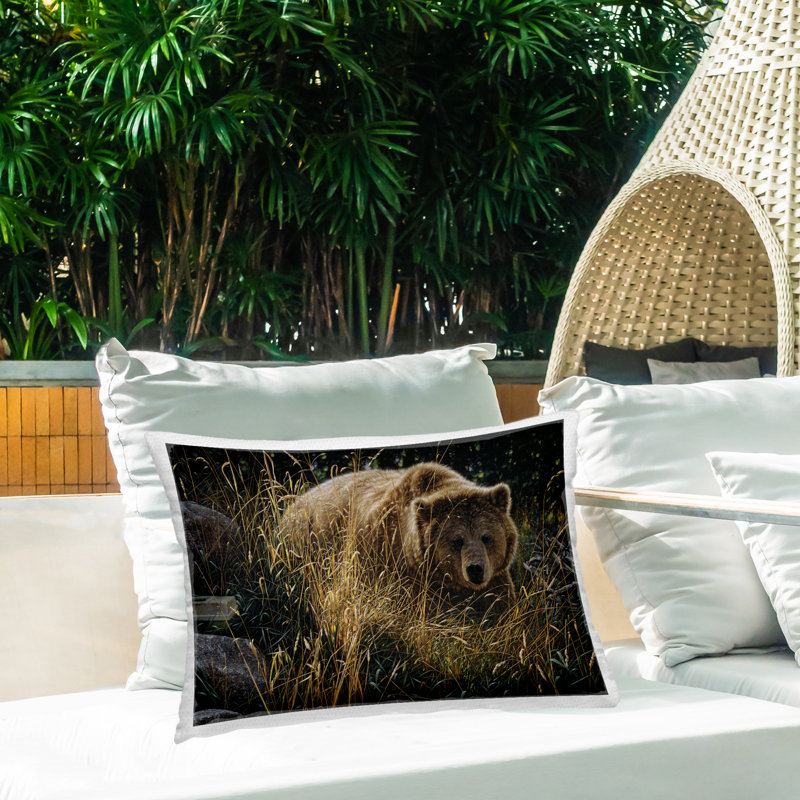 Coussin d'extérieur imprimé Crossing Paths Grizzly Bear par Collin Bogle, Rectangle H 14 po x l 20 po, Brun ours