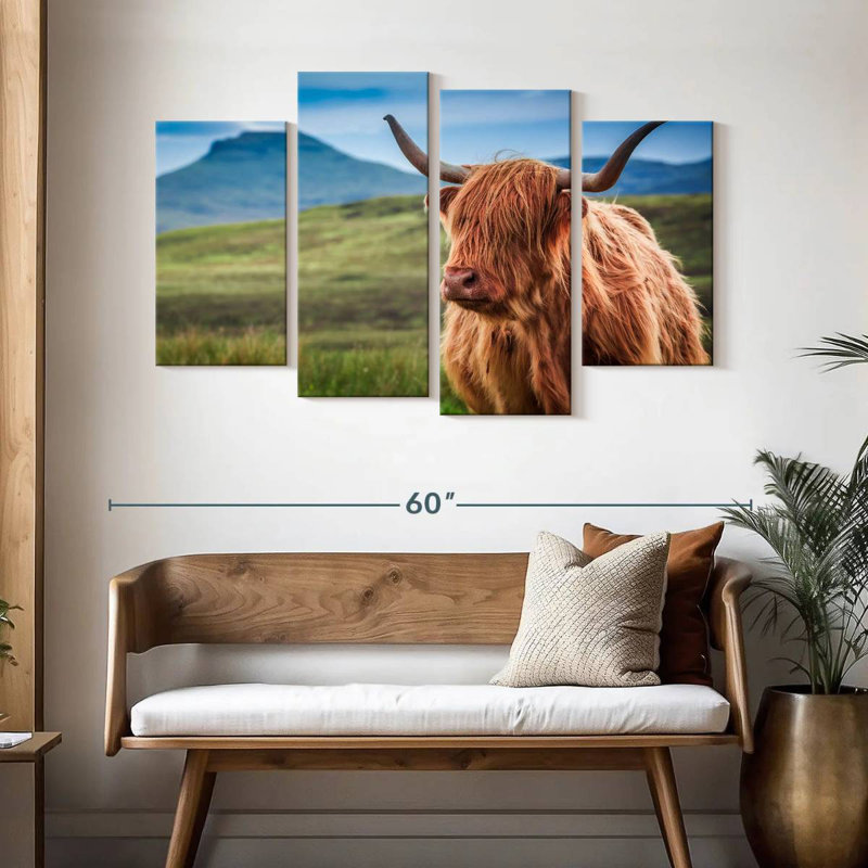 Vache Highland Brampt, H 32 po x l 52 po
