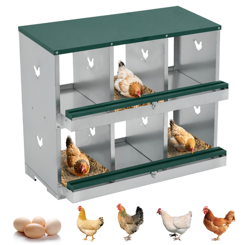 Boîte de nidification en métal robuste à double couche, 6 compartiments ventilés, collection et perchoir à œufs roulants, vert