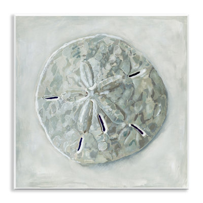 «Sand Dollar» coquillage par Erica Christopher