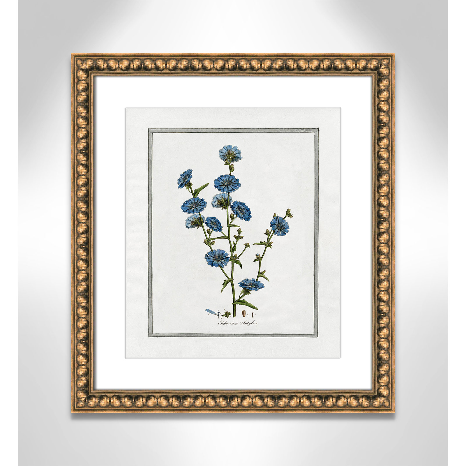 Soft Botanical I - Framed Art Full Bleed, Gold Bead Framed, 14" W x 16" H