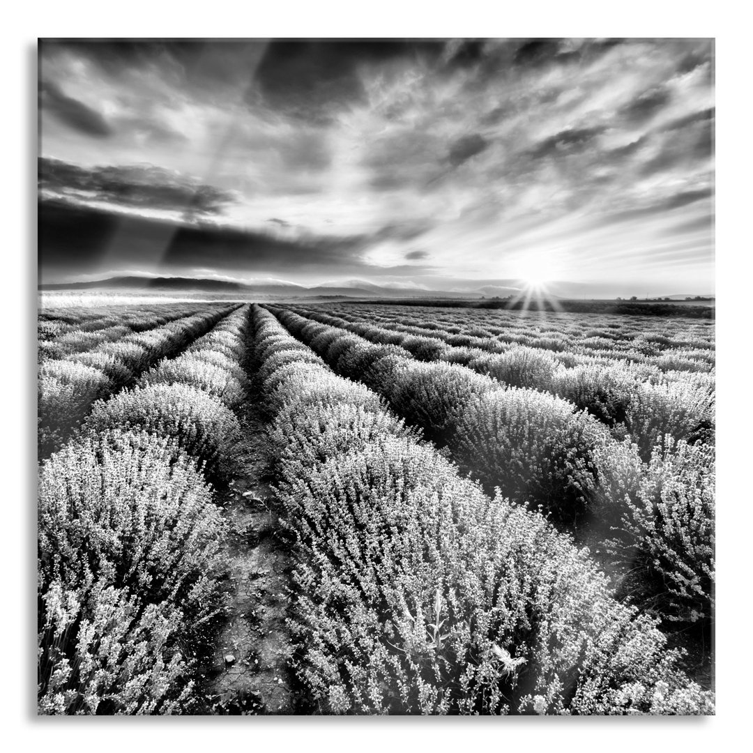 Glasbild Traumhafte Lavendel Provence