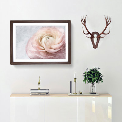 Pink Ranunculus Flower - Picture Frame Graphic Art Print