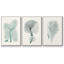 Antique Coastal Coral I, ensemble de 3 toiles encadrées-97759485-97759492