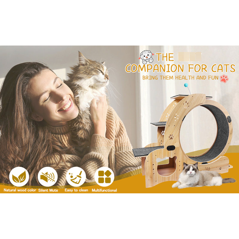 Une roue pour chat pour un plaisir en intérieur