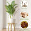 Paquet de 3 supports à plantes d'intérieur en bois-1064929919