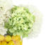 Hydrangeas Arranged in Oval Vase with Lemons