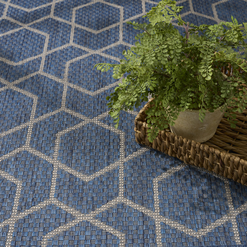 Reidy Modern Indoor/Outdoor Rug, Rectangle 4' x 6', Denim