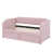 Rose est en rupture de stock