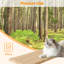 5 tablettes murales en bois pour chat