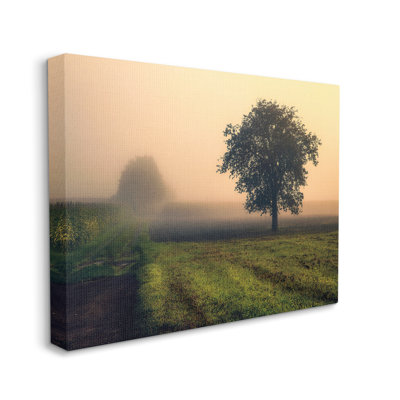 Brume matinale, lever du soleil, campagne, arbre, champ