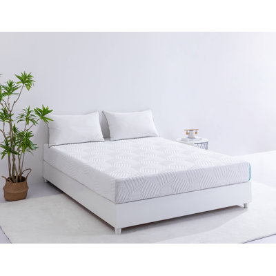 Matelas en mousse à mémoire de forme 8 po Passendale Essential Plus