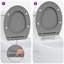Anthracite Plastic Standard Adjustable Armrests Toilet Seat-1215608313