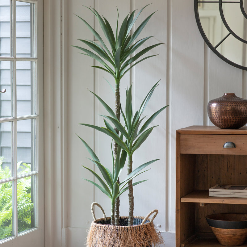 150cm Faux Yucca Tree in Pot