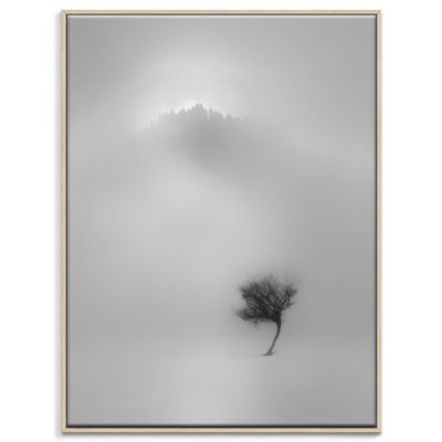 Print on Canvas