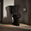 Highline Elongated Two-Piece toilet-10978602-108571780-101432850