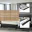 Lit Hammond Yazoo-1194092784