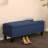 Canealus Upholstered Storage Bench-636717921