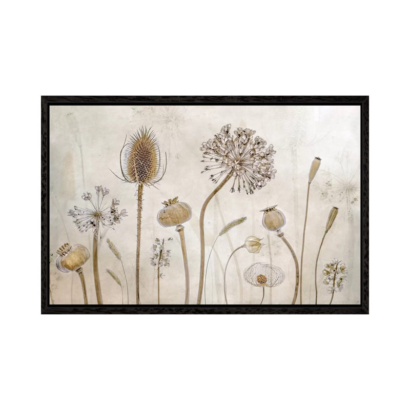 Growing Old by Mandy Disher - Print on Canvas, Black Framed, 45.72cm H x 66.04cm W x 3.81cm D