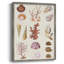 Coral & Shell Collage II, reproduction encadrée - bois massif-94474171