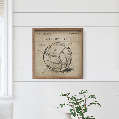 Volleyball brun verni