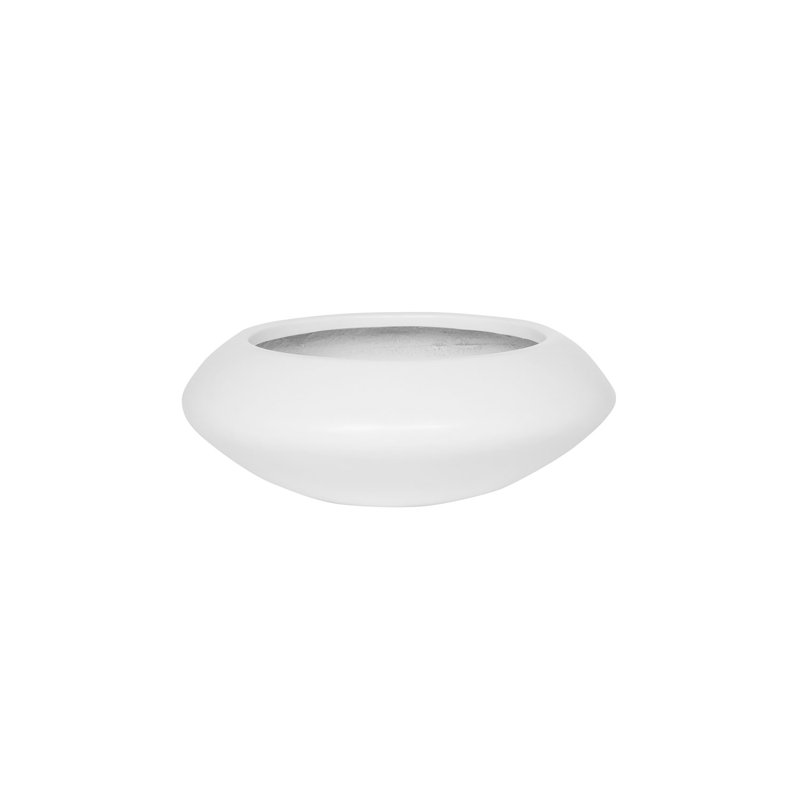 Tara S, Matte White
