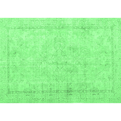Oriental Indoor Rug