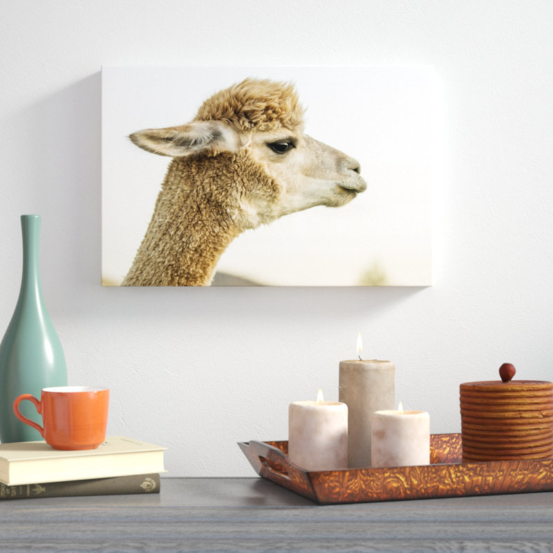Alpaca Portrait I by Tyler Stockton - Wrapped Canvas Photograph Print, 30cm H x 46cm W, Black Floater Framed
