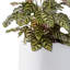 Tali 3 Piece Round Concrete Planter, Outdoor Indoor Large Planter Pots Containers with Drainage Holes for Set-2097808895